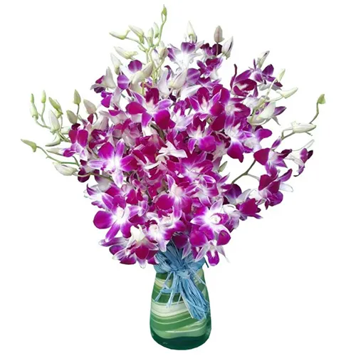 Lovely Orchids in Vase