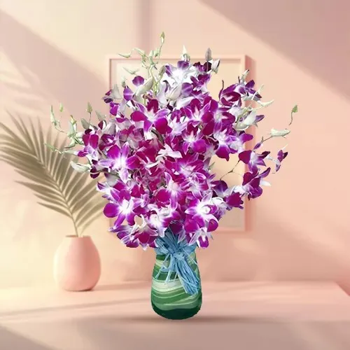 Lovely Orchids in Vase