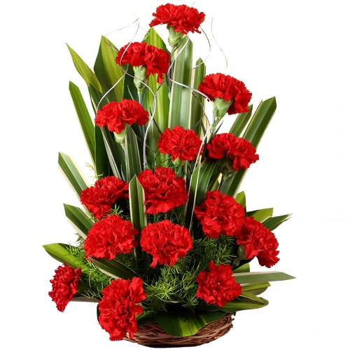 Joyful Love Special Bouquet of Red 18 Carnations