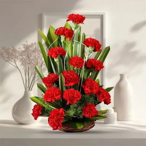 Joyful Love Special Bouquet of Red 18 Carnations