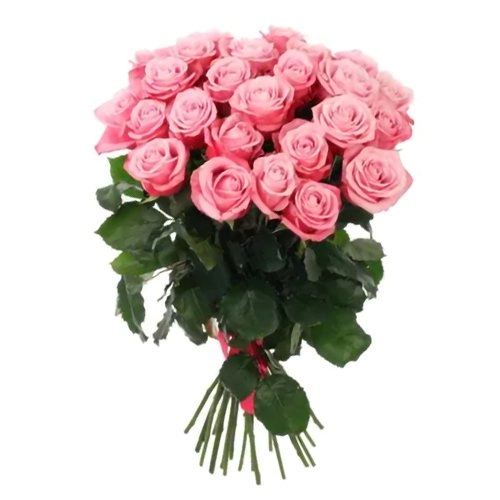 Book Pink Roses Bouquet Online