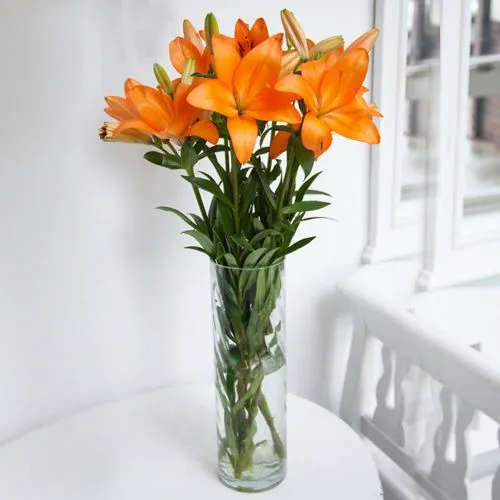 Delightful Vase Decked with 6 Pcs. Lilies in Mixed Colors