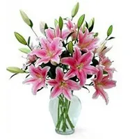 Order Pink Lilies in Vase