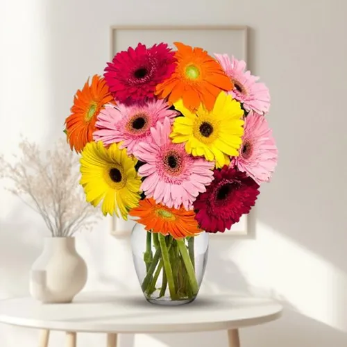 Gorgeous Mixed Gerberas in a Glass Vase