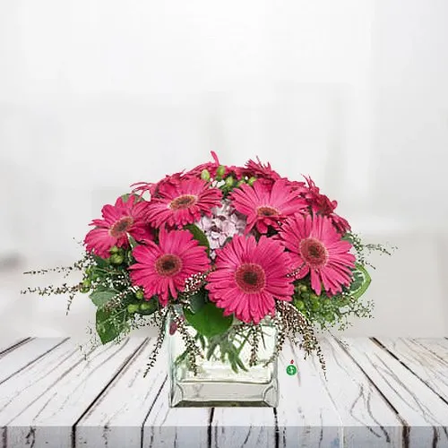 Divine Bunch of Pink Gerberas