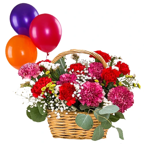 Premium Quality Mixed Carnations Basket with Balloons