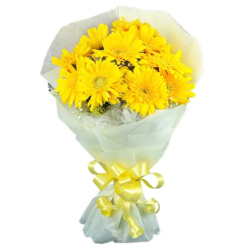 Delightful Yellow Coloured Gerberas Collection