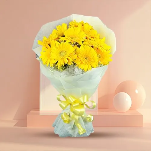 Delightful Yellow Coloured Gerberas Collection