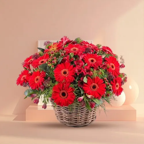 Precious Bouquet of Gerberas in Red Colour