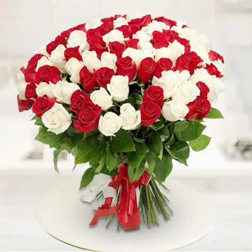 Glorious Attract Red  N  White Roses Premium Bouquet