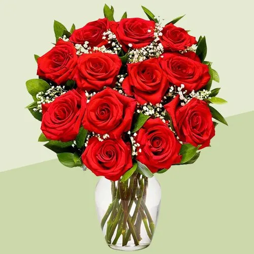 Treasured Display of Blooming Red Rose in a Glass Vase