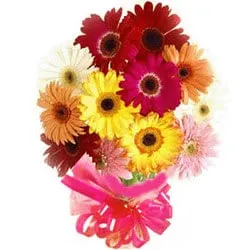Distinctive Abundance of Love Collection