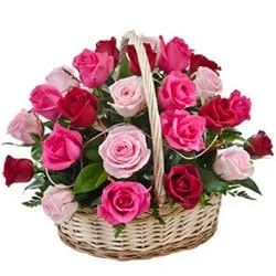 Dazzling Falling in Love Fifteen Pink N Red Roses Basket