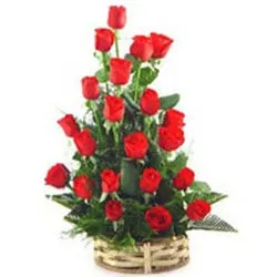Exotic Red Roses Collection