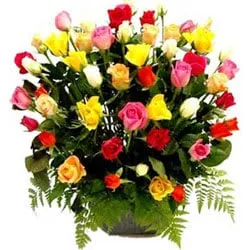 Gorgeous Basket of Mixed Coloured Roses Collection