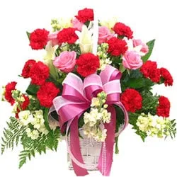 Radiant Basket of 10 Carnations in Red and 7 Roses in Pink Colour