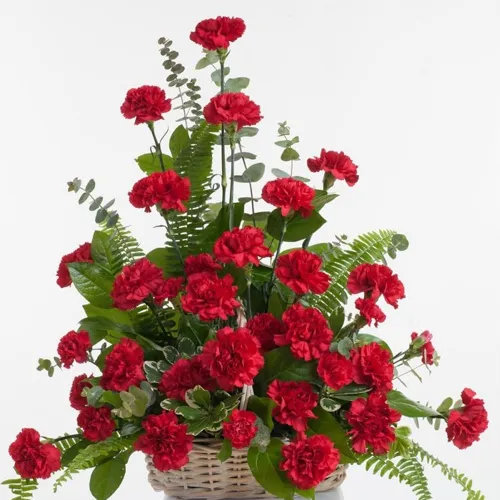 Chic Sweetheart Floral Selection of Red Carnations