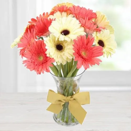 Aromatic Affection Gerbera Assemblage