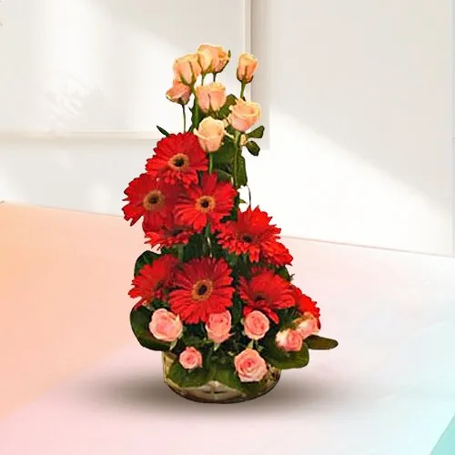 Order Gerberas and Roses Arrangement