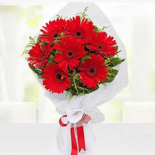 Inflated Shimmer Red Gerberas Bouquet