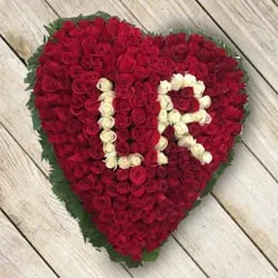 100 Red Roses Heart (Alphabet Series)