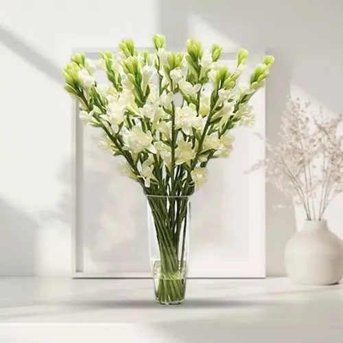 Cheerful Display of White Tube Roses Sticks in a Glass Vase