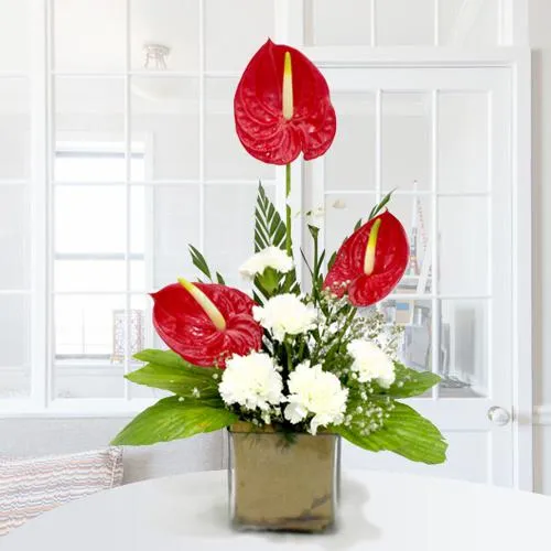 Mesmerizing Display of Anthodium n Carnations in Glass Vase