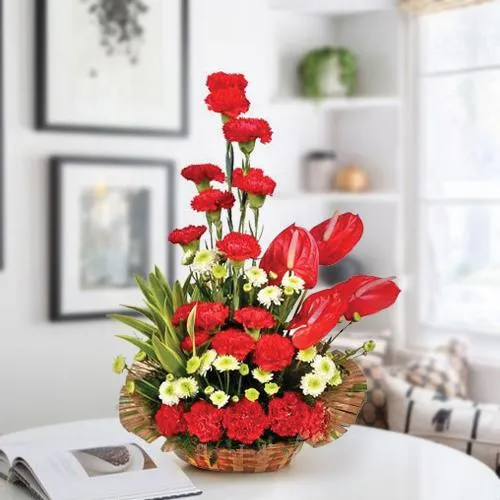 Amusing Arrangement of Red Carnations n Anthodium