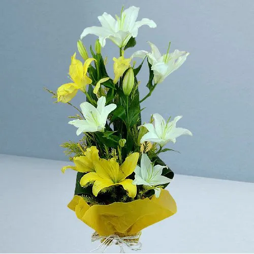 Alluring Mixed Lilies Summery Basket