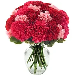Order for a magical display of Red & Pink Carnations in a glass vase