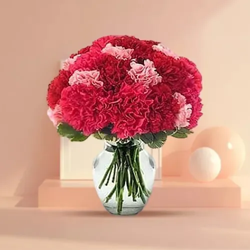 Order for a magical display of Red & Pink Carnations in a glass vase