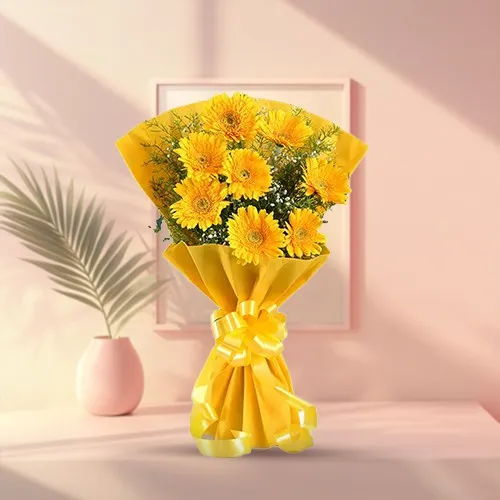 Enchanting Yellow Gerberas Bunch
