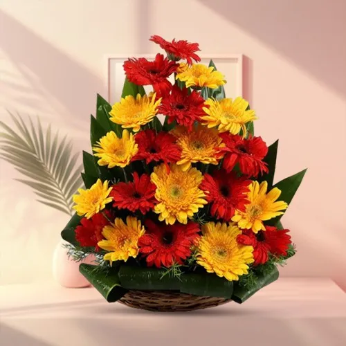 Bright Arrangement of Red & Yellow Color Gerberas 
