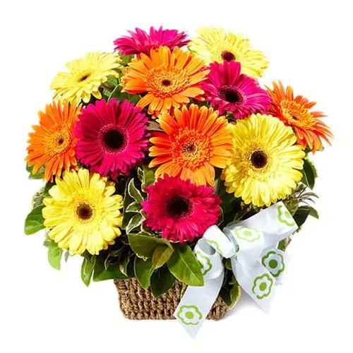 Radiant Mixed Gerberas arranged in a Basket
