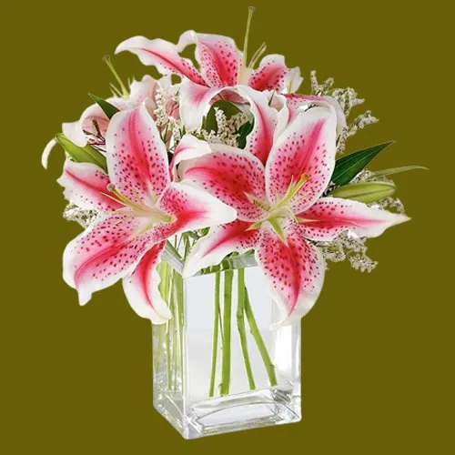 Fabulous Arrangement of Pink Lilies in a Glass Vase
