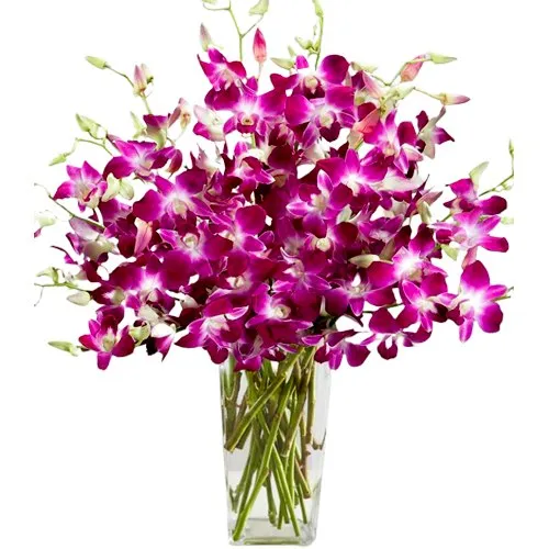 Elegant Collection of Orchids in a Glass Vase