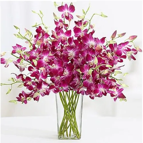 Eye-Catching Arrangement of Orchids in a Glass Vase