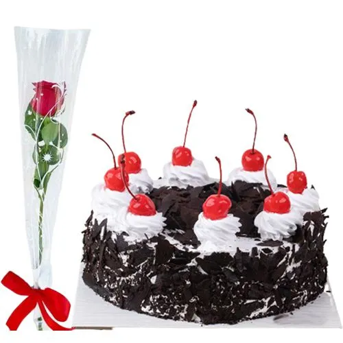 1 lb Black Forest Cake with 1 Rose