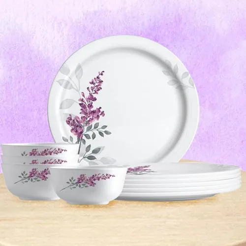 Amazing Melamine Dinner Set from Milton