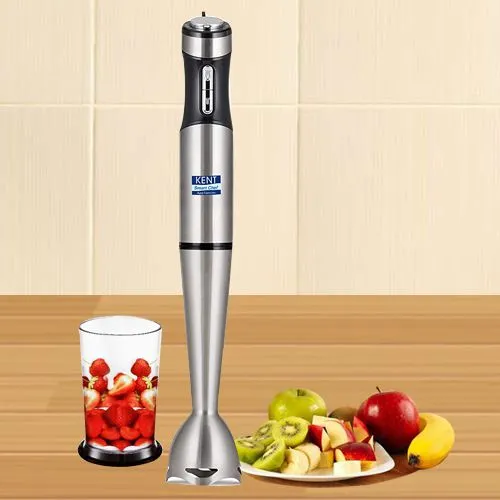 Amazing KENT Stainless Steel Hand Blender