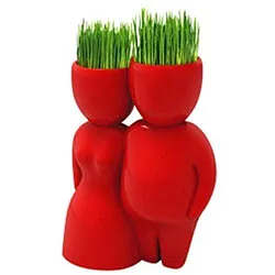 Buy Red Lover Company Grass Hair Man Plant