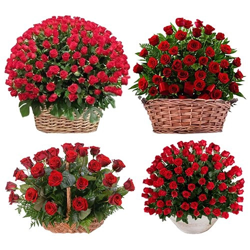 250 Pcs. Exclusive Dutch Red Roses in Multi Basket