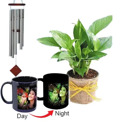 Exclusive Personalized Photo Radium Mug with Money Plant N Wind Chime