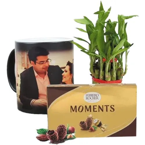 Wonderful Personalized Photo Magic Mug with Ferrero Rocher N Bamboo Plant