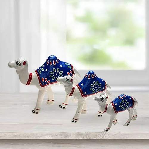 Marvelous 3pc Camel Showpiece Set