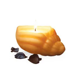 Deliver IRIS Sea Shell Candle Set