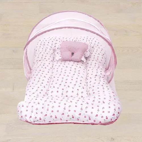 Amazing Gift of Baby Sleeping Bag N Mosquito Net Bed