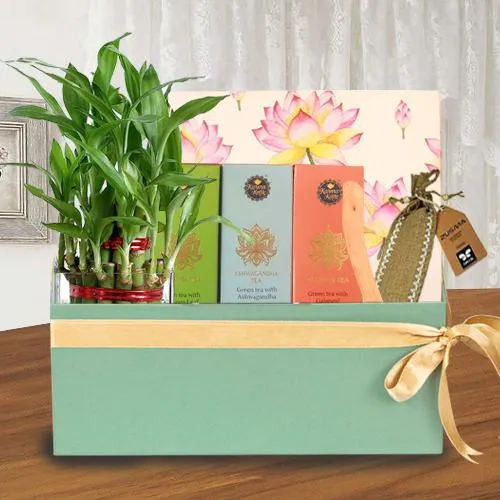 Exquisite Healing Gift Combo for Mother