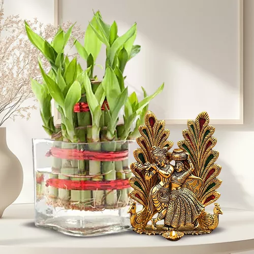 Classic Gift of Holy Radha Krishna Murti with 2 Layer Good Fortune Bamboo Plant