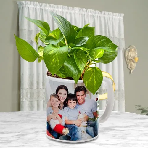 Order Gift of Money Plant in Personalized Coffee Mug